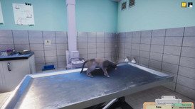 Animal Shelter - Vet Clinic screenshot 4
