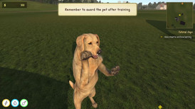 Animal Trainer Simulator screenshot 4