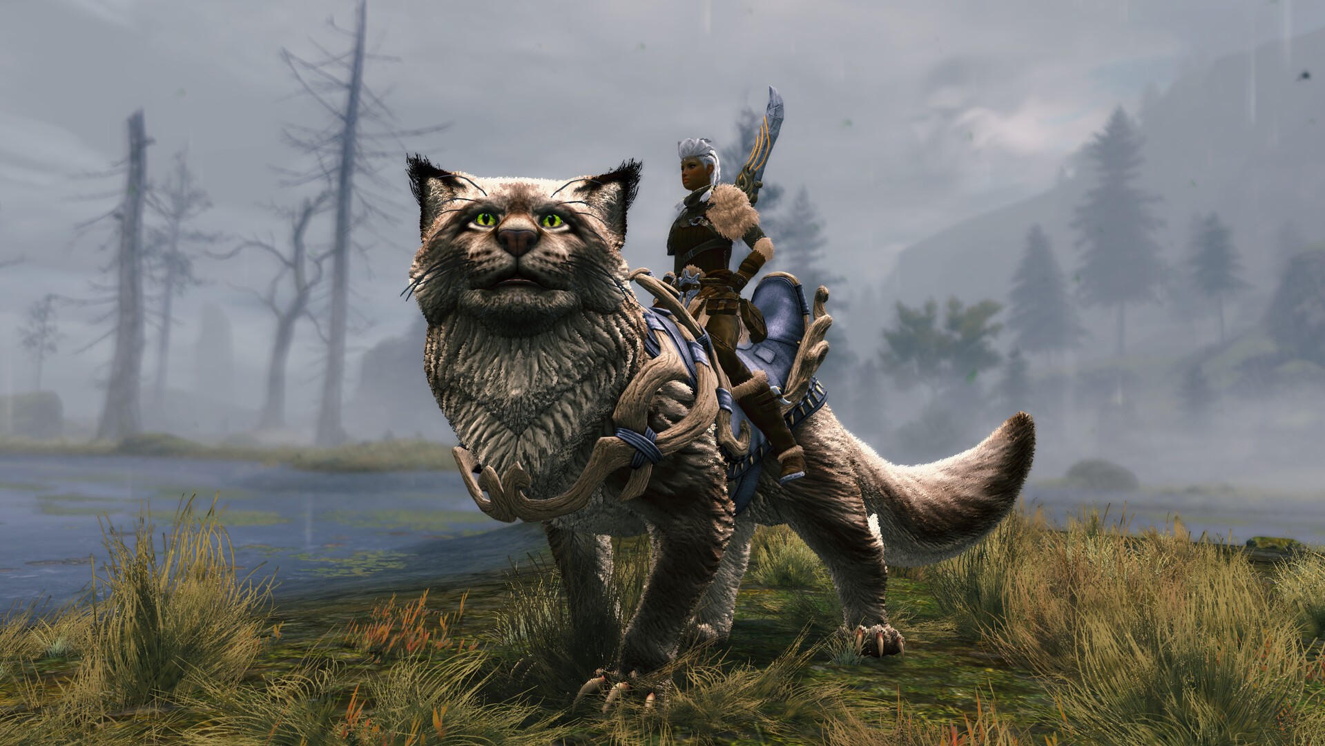 Guild Wars 2 : record de ventes pour le jeu de rôle Guild Wars 2 : record de ventes pour le jeu de rôle