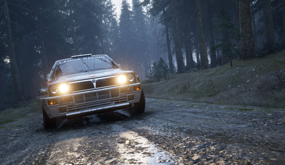 Assetto Corsa Rally screenshot 1