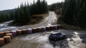 Assetto Corsa Rally screenshot 3