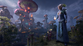 The Elder Scrolls Online screenshot 4