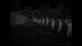 Horses screenshot 2