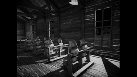 Horses screenshot 5