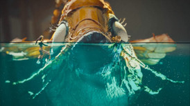 Out of Words screenshot 3