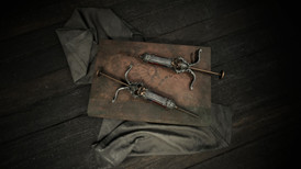 Hunt: Showdown 1896 - Death's Day screenshot 4