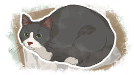 Dear me, I was... screenshot 5