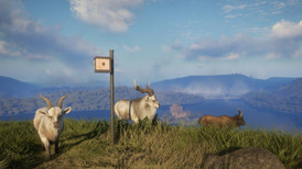 theHunter: Call of the Wild - Game Feeder Pack 2 screenshot 4