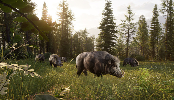 Way of the Hunter 2 screenshot 1