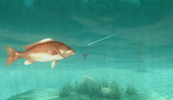 About Fishing screenshot 1