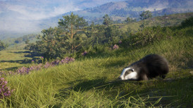 theHunter: Call of the Wild - Scotland Hunting Reserve screenshot 2