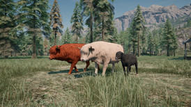 Ranch Simulator: Highland Cows Pack - Build, Farm, Hunt screenshot 3