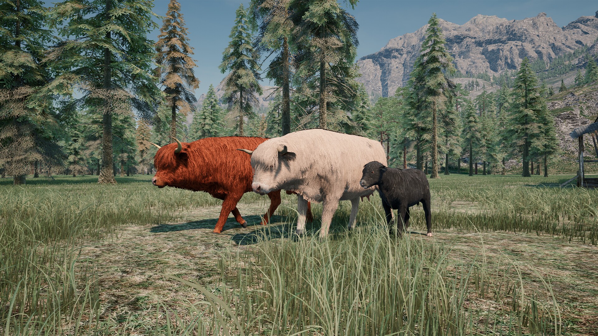 Cow Design Computer Build Custom Buy Ranch Simulator: Highland Cows Pack - Build, Farm, Hunt - PC (Steam)