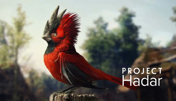 Project Hadar