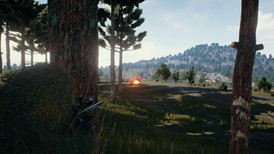 Playerunknown's Battlegrounds screenshot 3