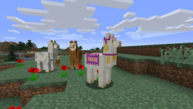 Minecraft Explorers Pack screenshot 2