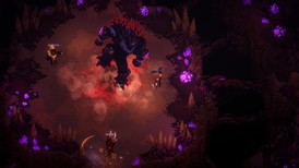 Dimraeth screenshot 2