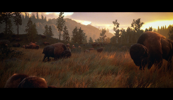 Hunting Simulator 3 Apex Predator Edition screenshot 1