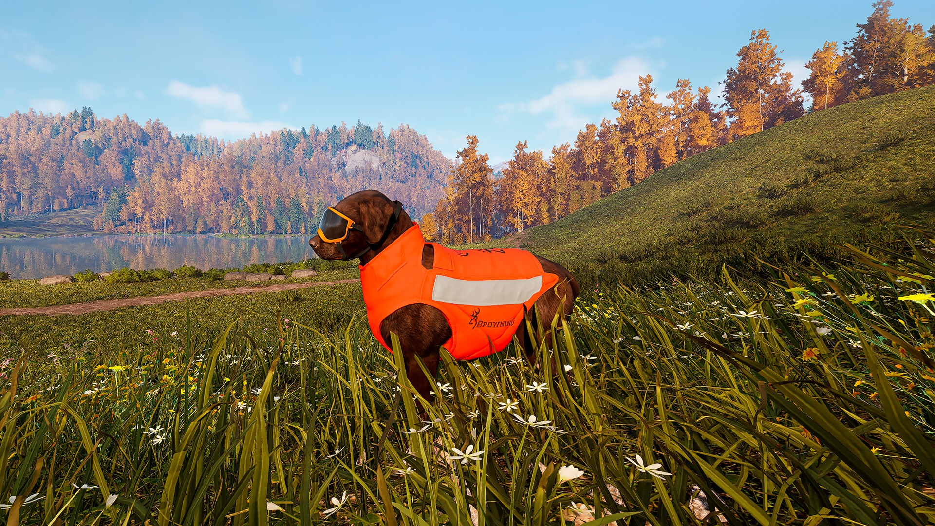 Buy Hunting Simulator 3 - Apex Predator Pack - PC (Steam) - Europe ...