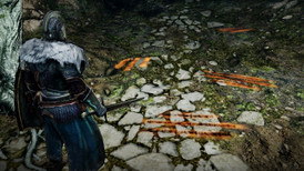 Dark Souls II screenshot 5