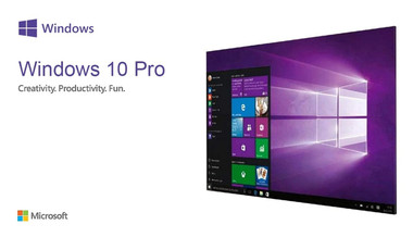 Windows 10 Pro - PC (Microsoft Store)