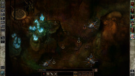 Icewind Dale: Enhanced Edition screenshot 5