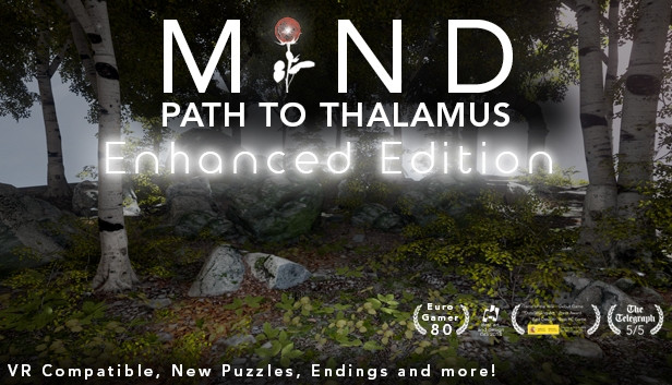Mind: Path to Thalamus