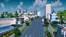 Cities: Skylines Platinum Edition screenshot 4