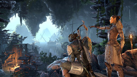 The Elder Scrolls Online: Summerset Collector Edition Upgrade screenshot 4