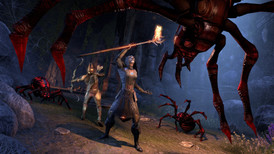 The Elder Scrolls Online: Summerset Collector Edition Upgrade screenshot 5