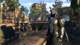 The Elder Scrolls Online: Morrowind screenshot 2