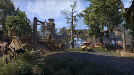 The Elder Scrolls Online: Morrowind PS4 screenshot 3
