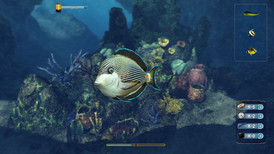 Depth Hunter 2: Scuba Kids - Hidden Treasure screenshot 2