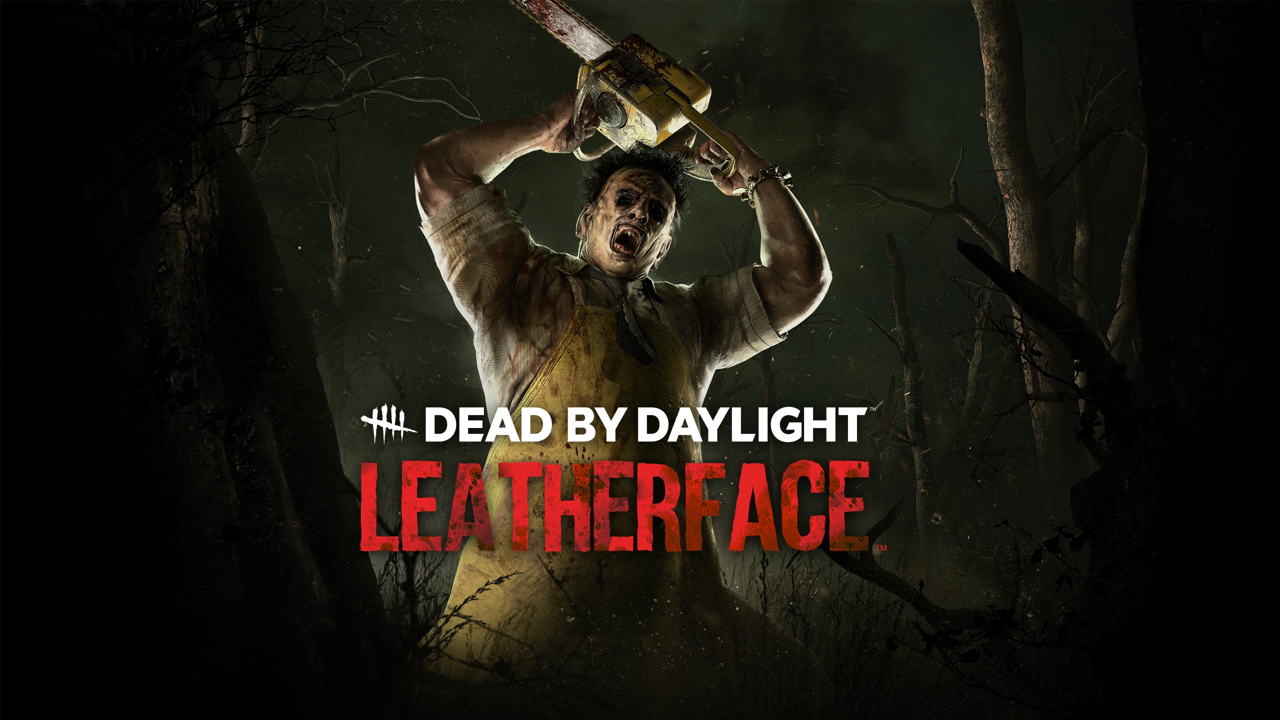 Leatherfac Error Leatherface Vs Ash