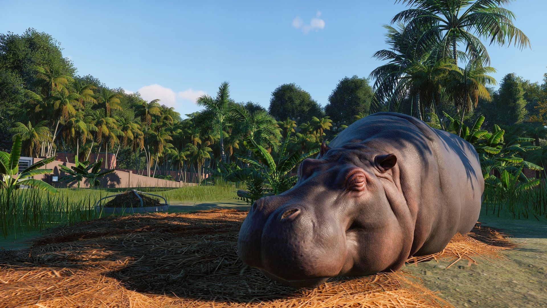 Planet Zoo Steam Key Per PC – Gioco Simulazione Strategia, Consegna Globale - Foto 1