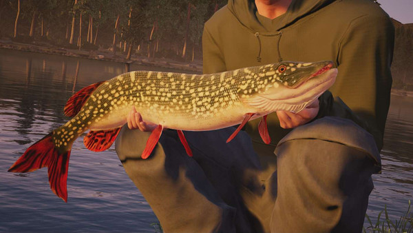 Fishing Sim World: Pro Tour screenshot 1