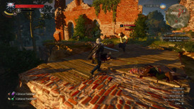 The Witcher 3: Wild Hunt – Complete Edition screenshot 3