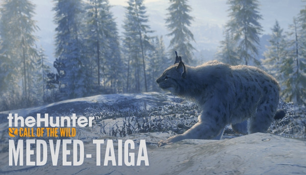 TheHunter Call of the Wild: gameplay, requisitos e mais do jogo de