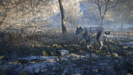 TheHunter: Call of the Wild - Medved-Taiga screenshot 2