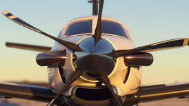 Microsoft Flight Simulator screenshot 2