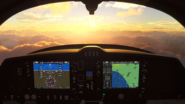 Microsoft Flight Simulator screenshot 1