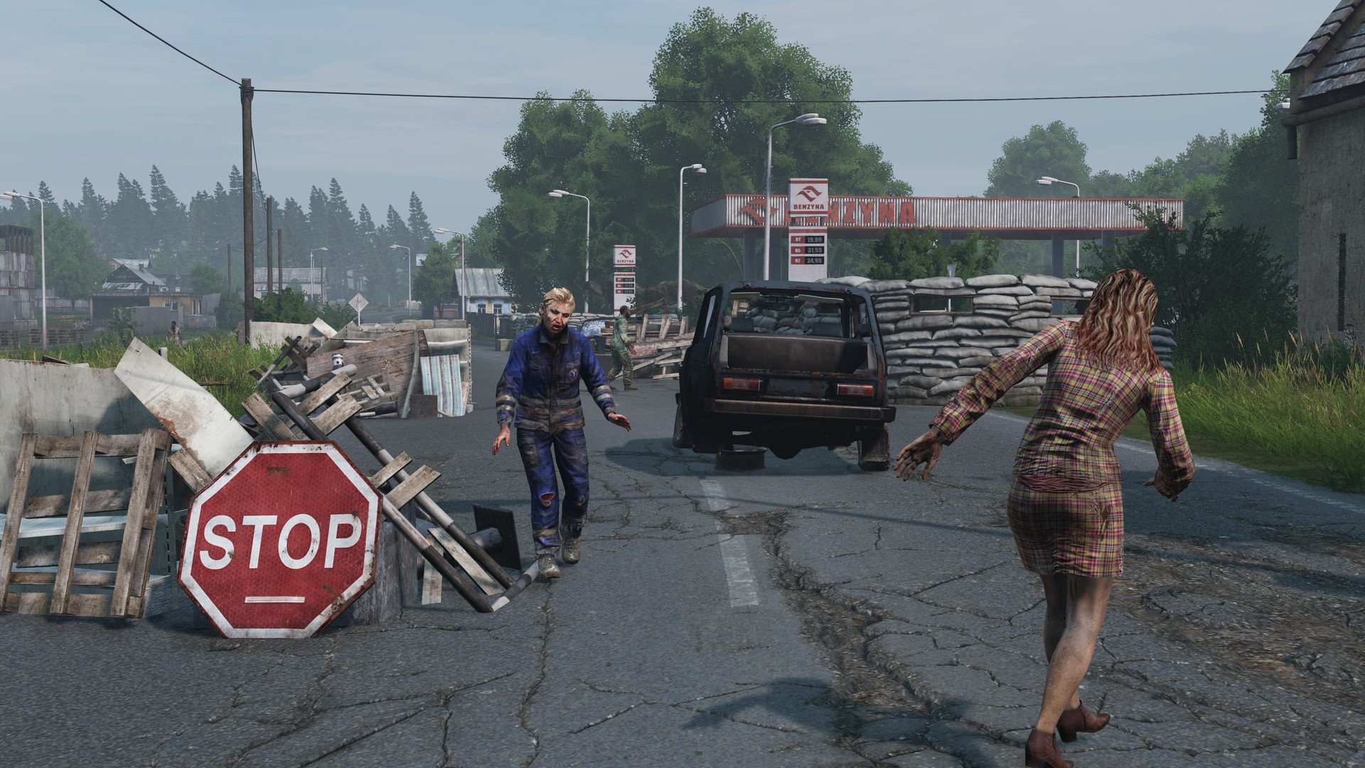 Dayz Computer Buy Dayz Livonia - PC (Steam)