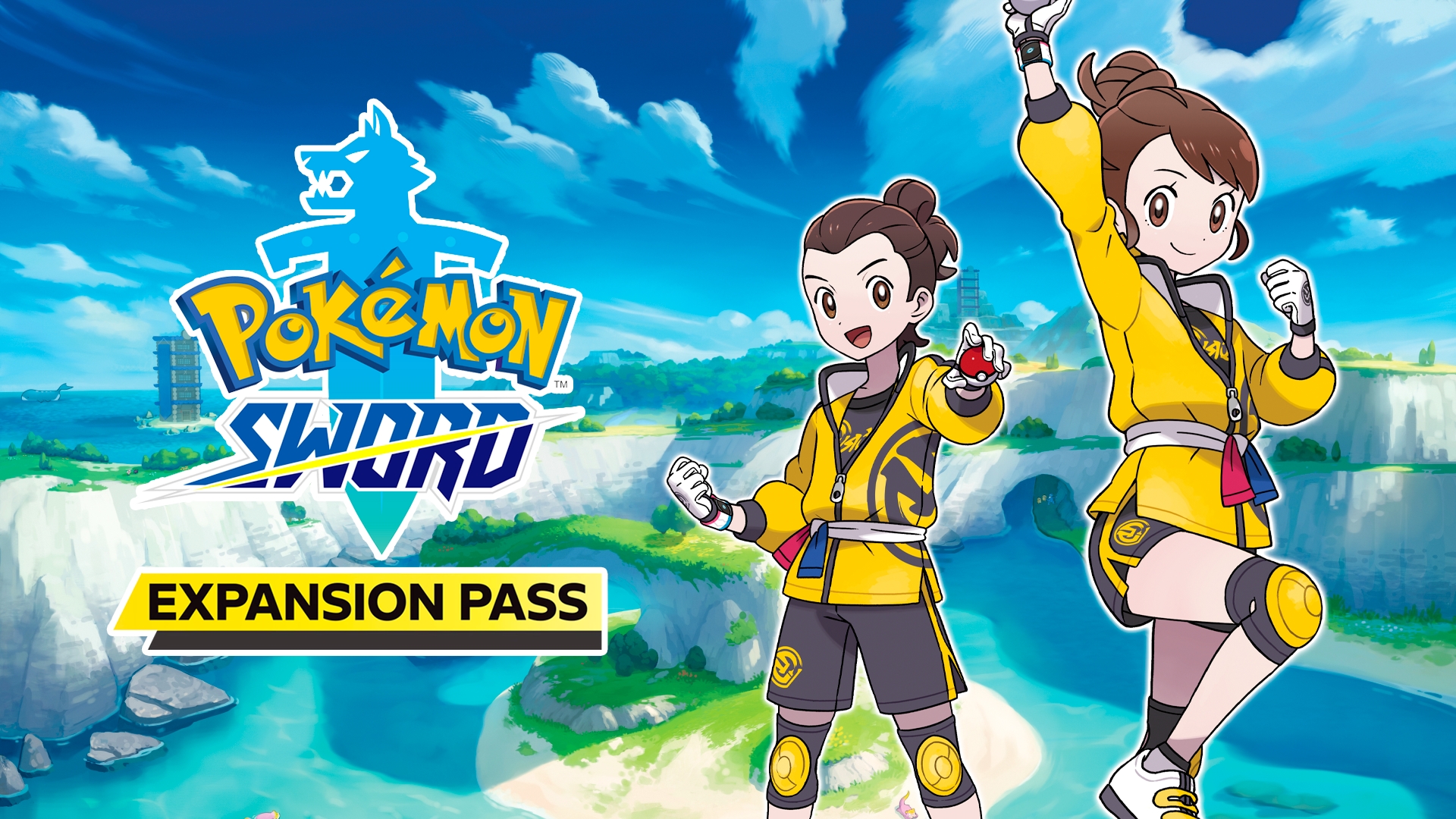 Pokemon Sword and Shield Expansion Pass (EU), Switch
