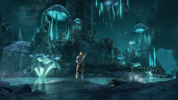 The Elder Scrolls Online: Greymoor - Collector's Edition screenshot 1