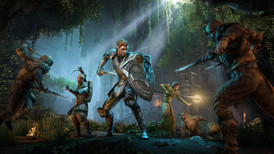 The Elder Scrolls Online screenshot 5