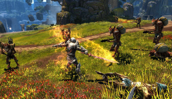Kingdoms of Amalur: Re-Reckoning screenshot 1