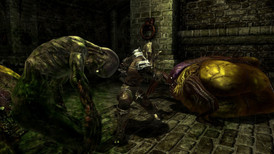 Divinity Anthology screenshot 4