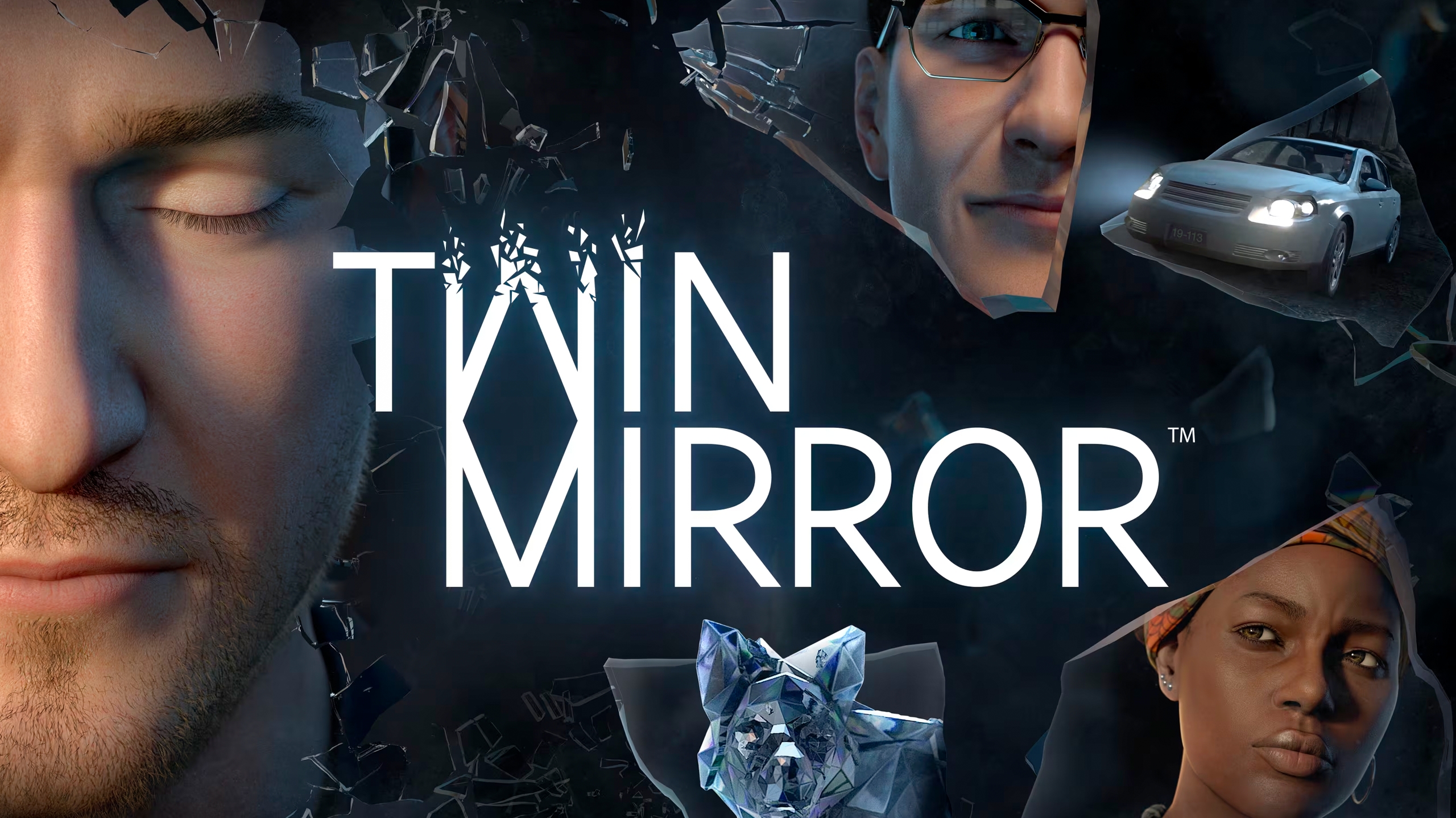 Купить Twin Mirror Steam