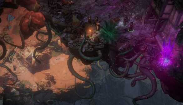 Pathfinder: Kingmaker - Imperial Edition Bundle screenshot 1