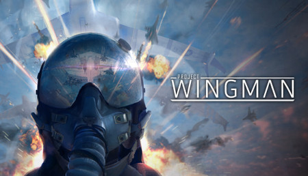 Project Wingman - PC (Steam)